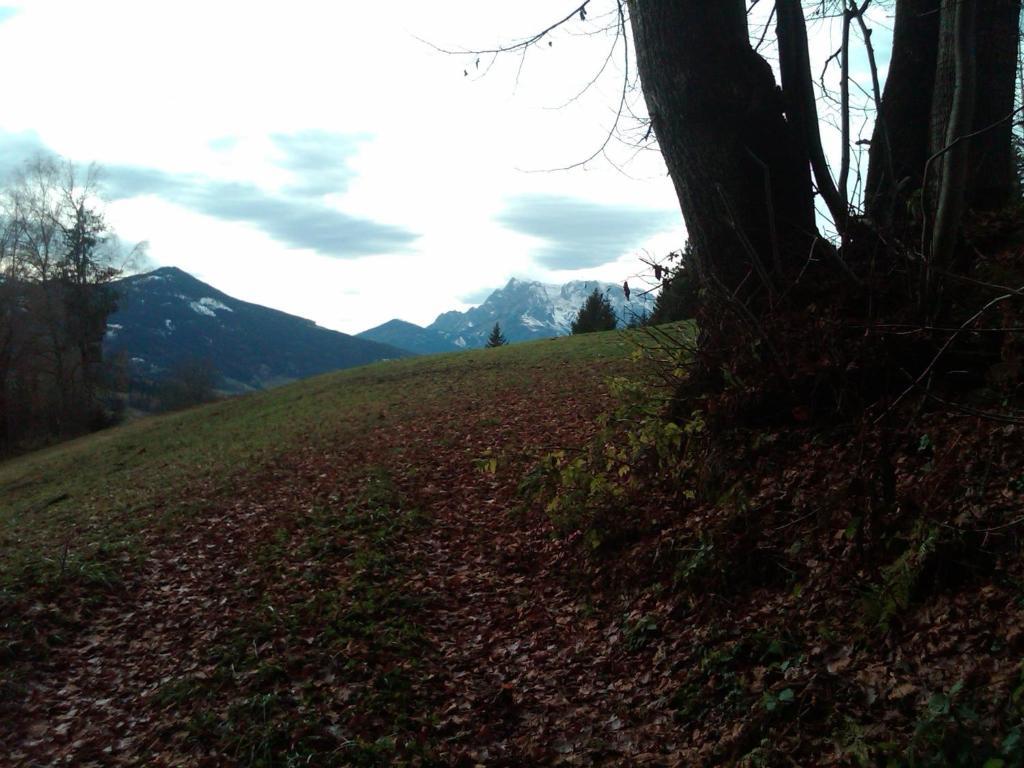 Appartement Weitsicht *